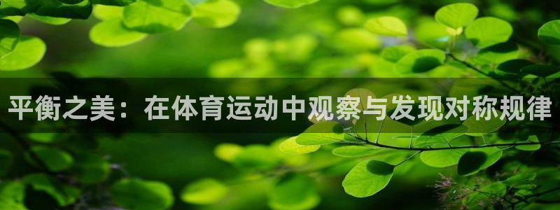 雷速网球比分官网：平衡之美：在体育运动中观察与发现对称规律