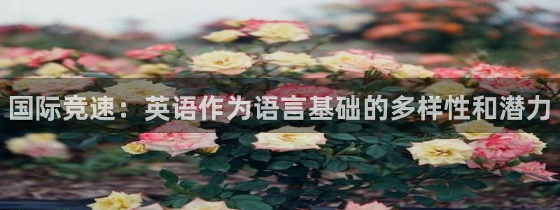 雷速英超：国际竞速：英语作为语言基础的多样性和潜力