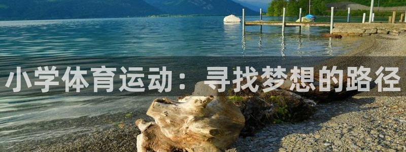 雷速发帖子按钮在哪：小学体育运动：寻找梦想的路径