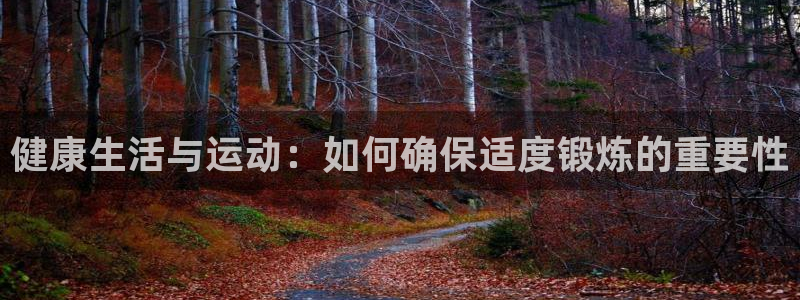 雷速c是什么意思