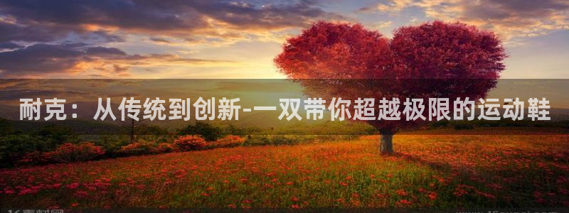 雷速卖方案赚钱吗