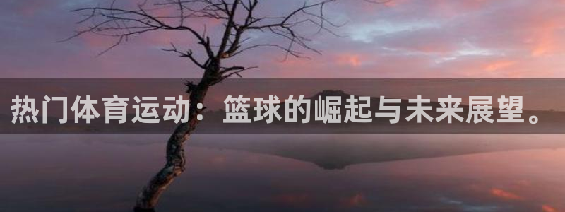 雷速体育足球比分：热门体育运动：篮球的崛起与未来展望。