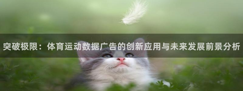 雷速计算器怎么没了：突破极限：体育运动数据广告的创新应用与未来发展前景分析