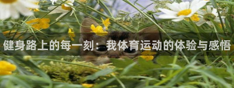雷速球迷人格测试：健身路上的每一刻：我体育运动的体验与感悟