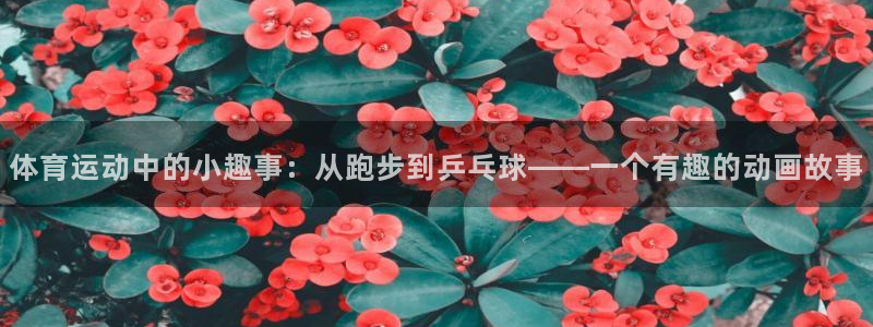 雷速体育足球比分
