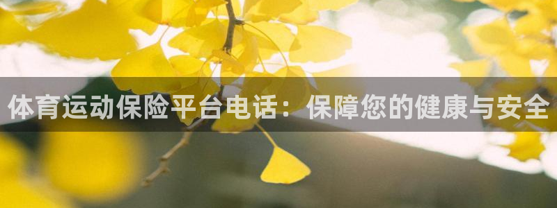 足球比分 雷速体育：体育运动保险平台电话：保障您的健康与安全