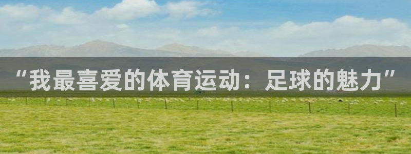 雷速小程序：“我最喜爱的体育运动：足球的魅力”