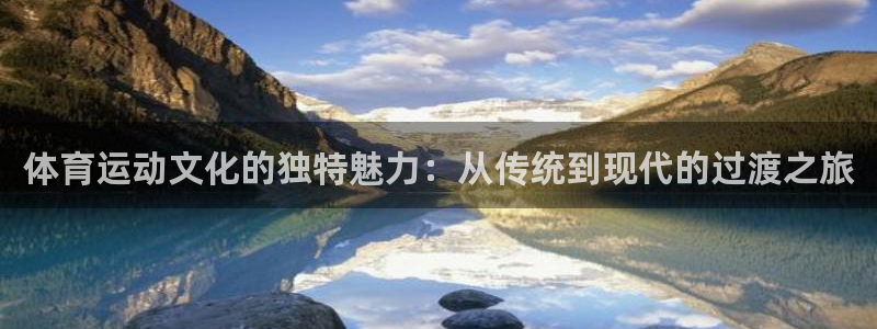 雷速币有什么用?：体育运动文化的独特魅力：从传统到现代的过渡之旅