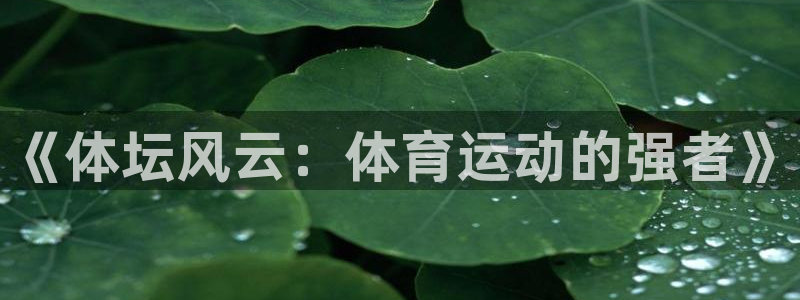 雷速体育app官网入口：《体坛风云：体育运动的强者》